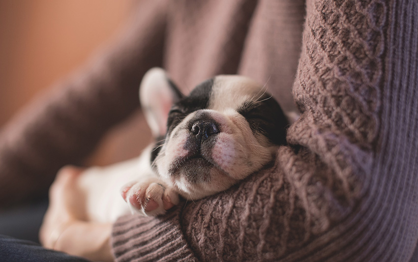 Here's to a cozy weekend!