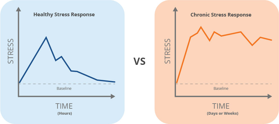 Side by side line graphs. Left graph shows normal stress response - initial spike in stress and then return to normal over time.
Image on the right shows a chronic stress response where the stress goes up and stays elevated over time.